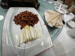 -丁老爷子苏香圆