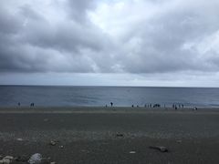 -七星潭蓝天广场