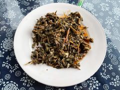 凉拌野菜-蒙阴县光棍鸡店(蒙山店)