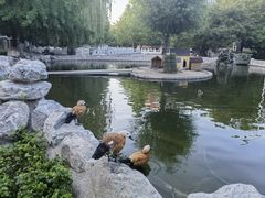 -北京市海淀外国语实验学校