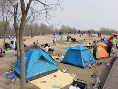 -东郊湿地公园