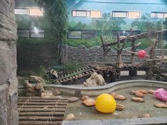 -黔灵山公园-南门售票处