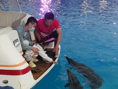 -三亚海昌梦幻海洋不夜城