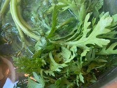 -润园四季椰子鸡火锅(南山海岸城店)