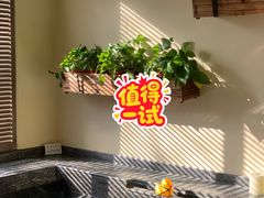 -春晖园度假酒店温泉