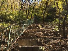 -老象峰