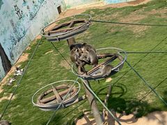 -西霞口神雕山野生动物世界