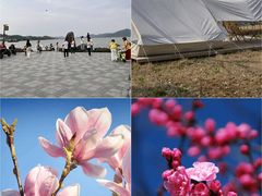 -西青郊野公园