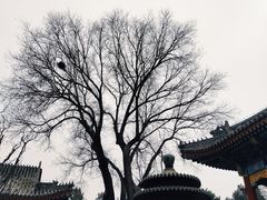 -颐和园