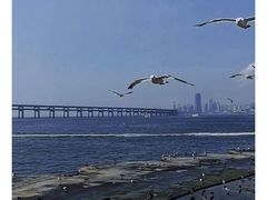 -心乐生活新鲜屋(星海广场店)