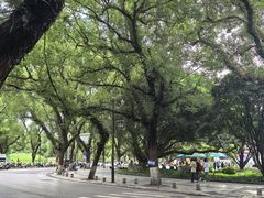 -桂林两江四湖景区