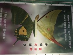 -上海昆虫博物馆