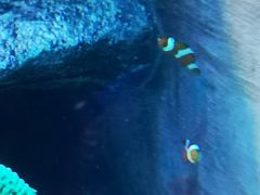 -沈阳海洋探索中心