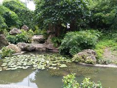 -晓港公园