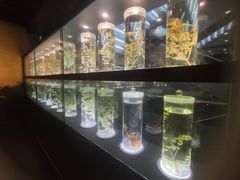 -广东中医药博物馆