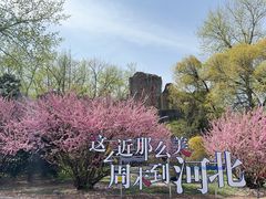 -秦皇岛野生动物园