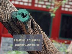 -北京鲁迅博物馆(北京新文化运动纪念馆鲁博馆区)