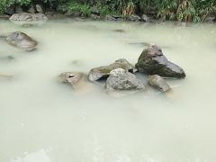 -长谷洞天