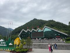 -牛背梁国家森林公园