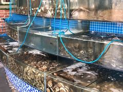 水产区-蟹谢蒸鲜自助餐厅