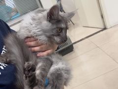 -佳雯宠物医院·皮肤科·内外科(春晓路分院)