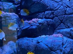 -成都浩海立方海洋公园