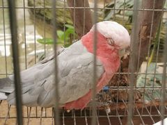 -南宫五洲植物乐园