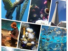 -瑞普利水族馆