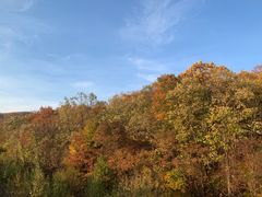 -五营红松林海景区