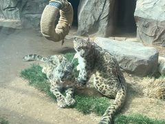 -青藏高原野生动物园