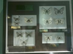 -上海昆虫博物馆