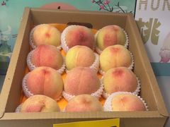 -老袁家蜜桃农场·阳山水蜜桃