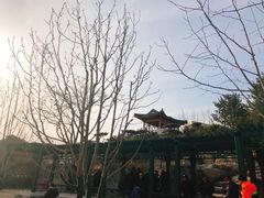 -西海子公园