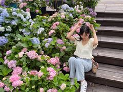 -广西壮族自治区药用植物园