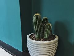 -So Acai(天河店)
