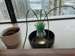 -佰推·肩颈腰·推拿理疗(湾悦城店)