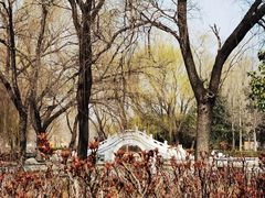 -洛阳市隋唐城遗址植物园