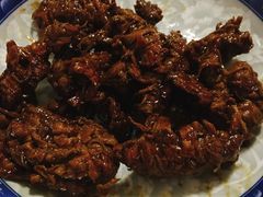 -真正老陆稿荐(太康新村店)
