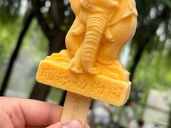 -成都动物园