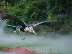 -Sony Store索尼(广州正佳店)