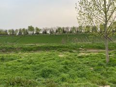 -洨河生态公园