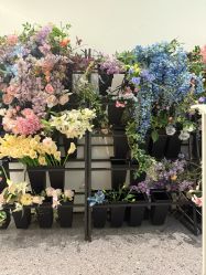 -WAVE SODA摄影工作室