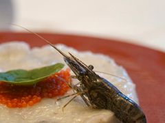 -斯普汇生蚝牛排馆(中骏世界城店)