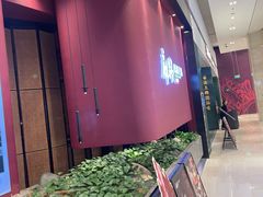 -麻路成都火锅(柏威年店)