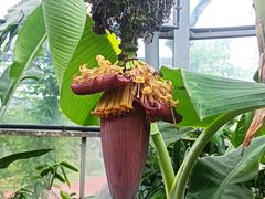 -华南国家植物园-售票处