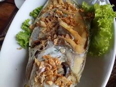 -自然餐厅(Phuket)
