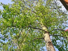 -斯多格书乡(北京大学畅春园店)