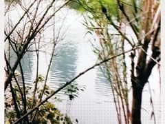 -重庆彩云湖湿地公园