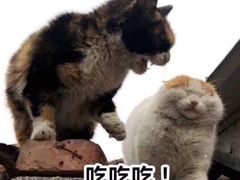 -洪长兴(广西北路店)