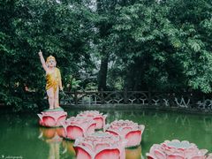 -瑞丽独树成林风景区